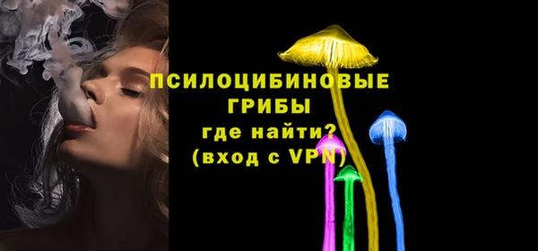 PSILOCYBIN Белокуриха